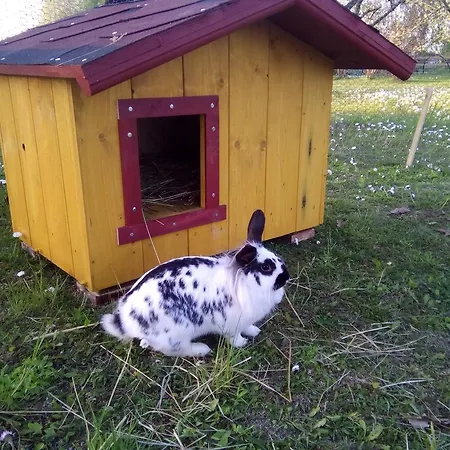 Podnieki Windawa